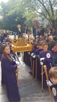LOS NIOS VIVEN CON GRAN SENTIMIENTO Y EMOCIN SU PROCESIN INFANTIL