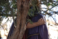 BALANCE MUY POSITIVO DE LA PASADA NAVIDAD